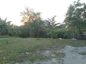 Jual Tanah 1.775 m2 di Widodaren Ngawi Jawa Timur Dekat Pasar Walikukun, Stasiun Walikukun