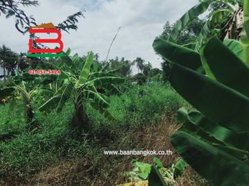 ที่ดินพร้อมบ้าน ซอยสนามกอล์ฟ อัลไพน์ กอล์ฟคลับ (คลอง5) เนื้อที่ 29-0-11.5 ไร่ ถนนปท.3010 อ.คลองหลวง จ.ปทุมธานี