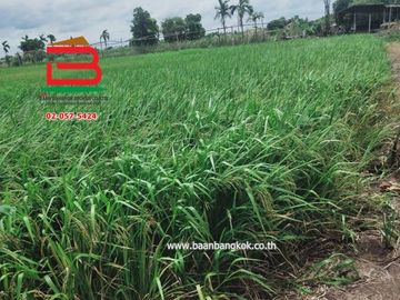 ที่ดินพร้อมบ้าน ซอยสนามกอล์ฟ อัลไพน์ กอล์ฟคลับ (คลอง5) เนื้อที่ 29-0-11.5 ไร่ ถนนปท.3010 อ.คลองหลวง จ.ปทุมธานี