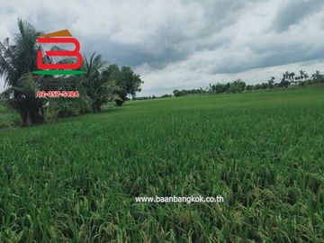 ที่ดินพร้อมบ้าน ซอยสนามกอล์ฟ อัลไพน์ กอล์ฟคลับ (คลอง5) เนื้อที่ 29-0-11.5 ไร่ ถนนปท.3010 อ.คลองหลวง จ.ปทุมธานี