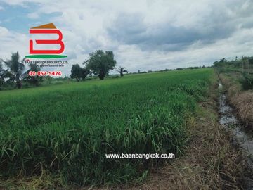 ที่ดินพร้อมบ้าน ซอยสนามกอล์ฟ อัลไพน์ กอล์ฟคลับ (คลอง5) เนื้อที่ 29-0-11.5 ไร่ ถนนปท.3010 อ.คลองหลวง จ.ปทุมธานี