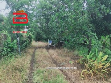 ที่ดินพร้อมบ้าน ซอยสนามกอล์ฟ อัลไพน์ กอล์ฟคลับ (คลอง5) เนื้อที่ 29-0-11.5 ไร่ ถนนปท.3010 อ.คลองหลวง จ.ปทุมธานี