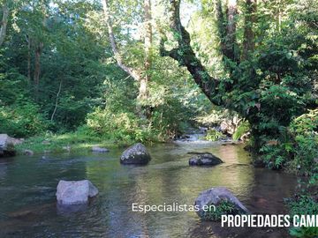 32 HA DE TERRENO CON BOSQUE PROFUNDO Y RÍO