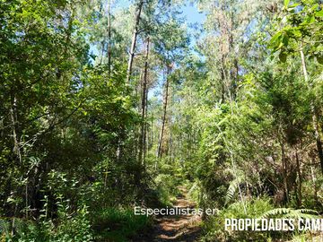 32 HA DE TERRENO CON BOSQUE PROFUNDO Y RÍO