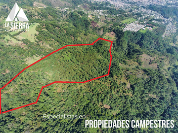 32 HA DE TERRENO CON BOSQUE PROFUNDO Y RÍO