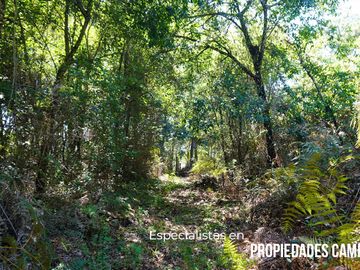 32 HA DE TERRENO CON BOSQUE PROFUNDO Y RÍO