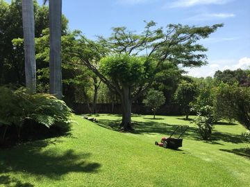 Casa Casillas - Limoneros