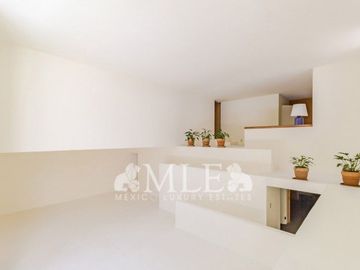 Casa Jacarandas - Rancho Cortés