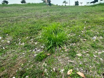 Elevated Prime Residential Lot For Sale with Unobstructed View at Pahara Southwoods in Carmona, Cavite