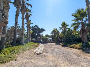 HACIENDA LA BURRITA - A true Oceanfront Oasis on 5 ACRES with PRIVATE BEACH