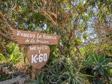 HACIENDA LA BURRITA - A true Oceanfront Oasis on 5 ACRES with PRIVATE BEACH