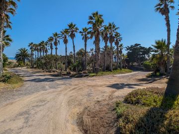 HACIENDA LA BURRITA - A true Oceanfront Oasis on 5 ACRES with PRIVATE BEACH