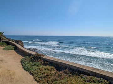 HACIENDA LA BURRITA - A true Oceanfront Oasis on 5 ACRES with PRIVATE BEACH