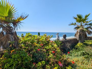 HACIENDA LA BURRITA - A true Oceanfront Oasis on 5 ACRES with PRIVATE BEACH
