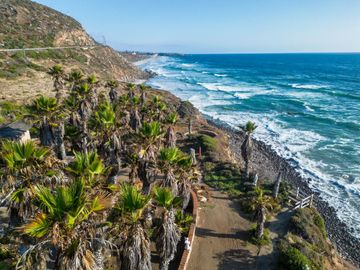 HACIENDA LA BURRITA - A true Oceanfront Oasis on 5 ACRES with PRIVATE BEACH