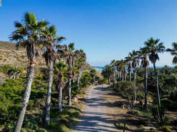 HACIENDA LA BURRITA - A true Oceanfront Oasis on 5 ACRES with PRIVATE BEACH