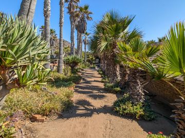 HACIENDA LA BURRITA - A true Oceanfront Oasis on 5 ACRES with PRIVATE BEACH
