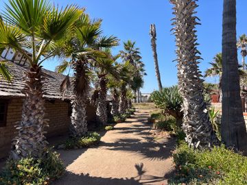 HACIENDA LA BURRITA - A true Oceanfront Oasis on 5 ACRES with PRIVATE BEACH