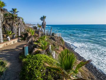 HACIENDA LA BURRITA - A true Oceanfront Oasis on 5 ACRES with PRIVATE BEACH