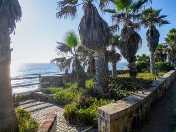 HACIENDA LA BURRITA - A true Oceanfront Oasis on 5 ACRES with PRIVATE BEACH