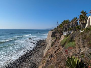 HACIENDA LA BURRITA - A true Oceanfront Oasis on 5 ACRES with PRIVATE BEACH