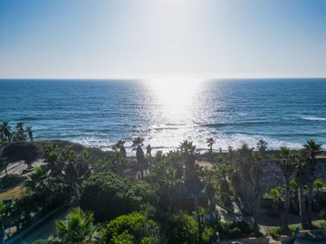 HACIENDA LA BURRITA - A true Oceanfront Oasis on 5 ACRES with PRIVATE BEACH