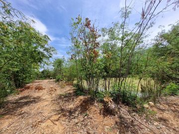 87773 - ขายที่ดินพร้อมสิ่งปลูกสร้าง ต.เพนียด อ.โคกสำโรง จ.ลพบุรี