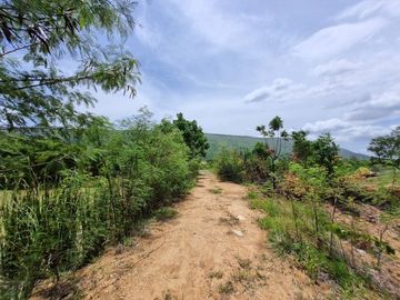 87773 - ขายที่ดินพร้อมสิ่งปลูกสร้าง ต.เพนียด อ.โคกสำโรง จ.ลพบุรี