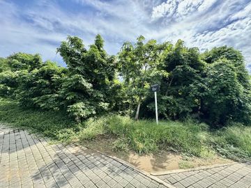Terreno en Venta, Bolongo Punta de Mita