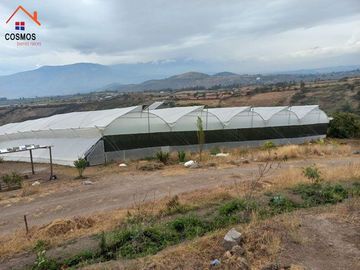 Propiedad de venta en Urcuqui sector Tumbabiro, 5,5 hectáreas