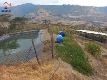 Propiedad de venta en Urcuqui sector Tumbabiro, 5,5 hectáreas