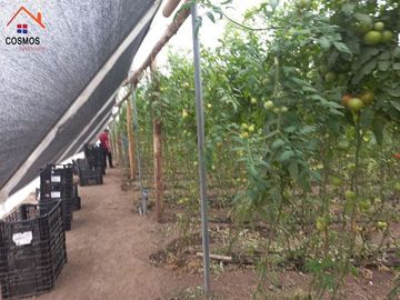 Propiedad de venta en Urcuqui sector Tumbabiro, 5,5 hectáreas