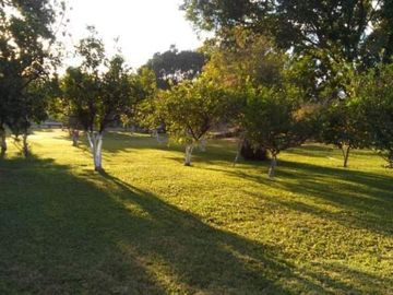 Quinta en Campo Nuevo, Emiliano Zapata, Morelos