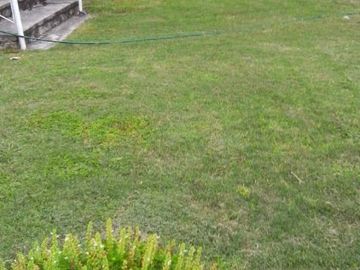 Quinta en Campo Nuevo, Emiliano Zapata, Morelos