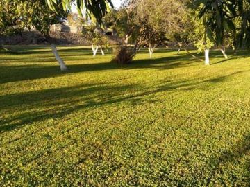 Quinta en Campo Nuevo, Emiliano Zapata, Morelos