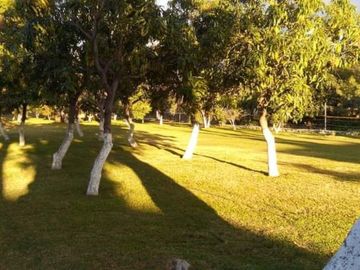 Quinta en Campo Nuevo, Emiliano Zapata, Morelos