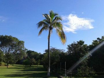 Quinta en Campo Nuevo, Emiliano Zapata, Morelos
