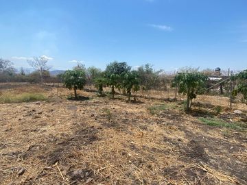Rancho en 10 de Mayo (La Matanza), Tlaltizapán de Zapata, Morelos