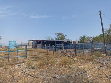 Rancho en 10 de Mayo (La Matanza), Tlaltizapán de Zapata, Morelos