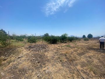 Rancho en 10 de Mayo (La Matanza), Tlaltizapán de Zapata, Morelos