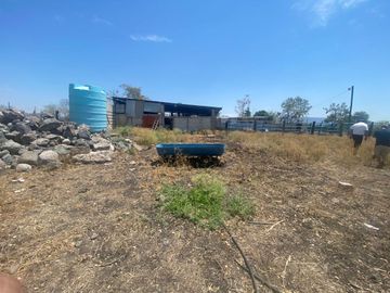 Rancho en 10 de Mayo (La Matanza), Tlaltizapán de Zapata, Morelos