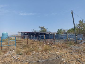 Rancho en 10 de Mayo (La Matanza), Tlaltizapán de Zapata, Morelos