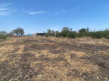 Rancho en 10 de Mayo (La Matanza), Tlaltizapán de Zapata, Morelos