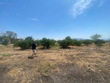 Rancho en 10 de Mayo (La Matanza), Tlaltizapán de Zapata, Morelos