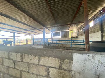 Rancho en 10 de Mayo (La Matanza), Tlaltizapán de Zapata, Morelos