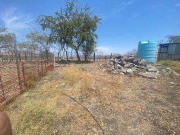 Rancho en 10 de Mayo (La Matanza), Tlaltizapán de Zapata, Morelos