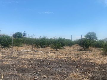 Rancho en 10 de Mayo (La Matanza), Tlaltizapán de Zapata, Morelos