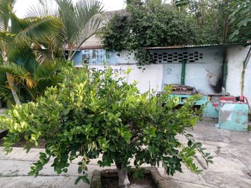 SE VENDE CASA COMERCIAL CERCA DEL ZOCALO DE JIUTEPEC, MOR