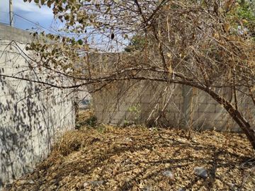Terreno en renta y venta en la entrada deOaxtepec