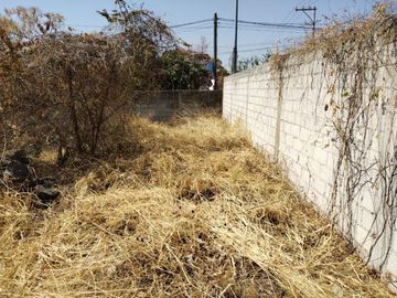Terreno en renta y venta en la entrada deOaxtepec